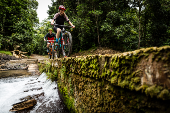 Bikes riding through rainforest