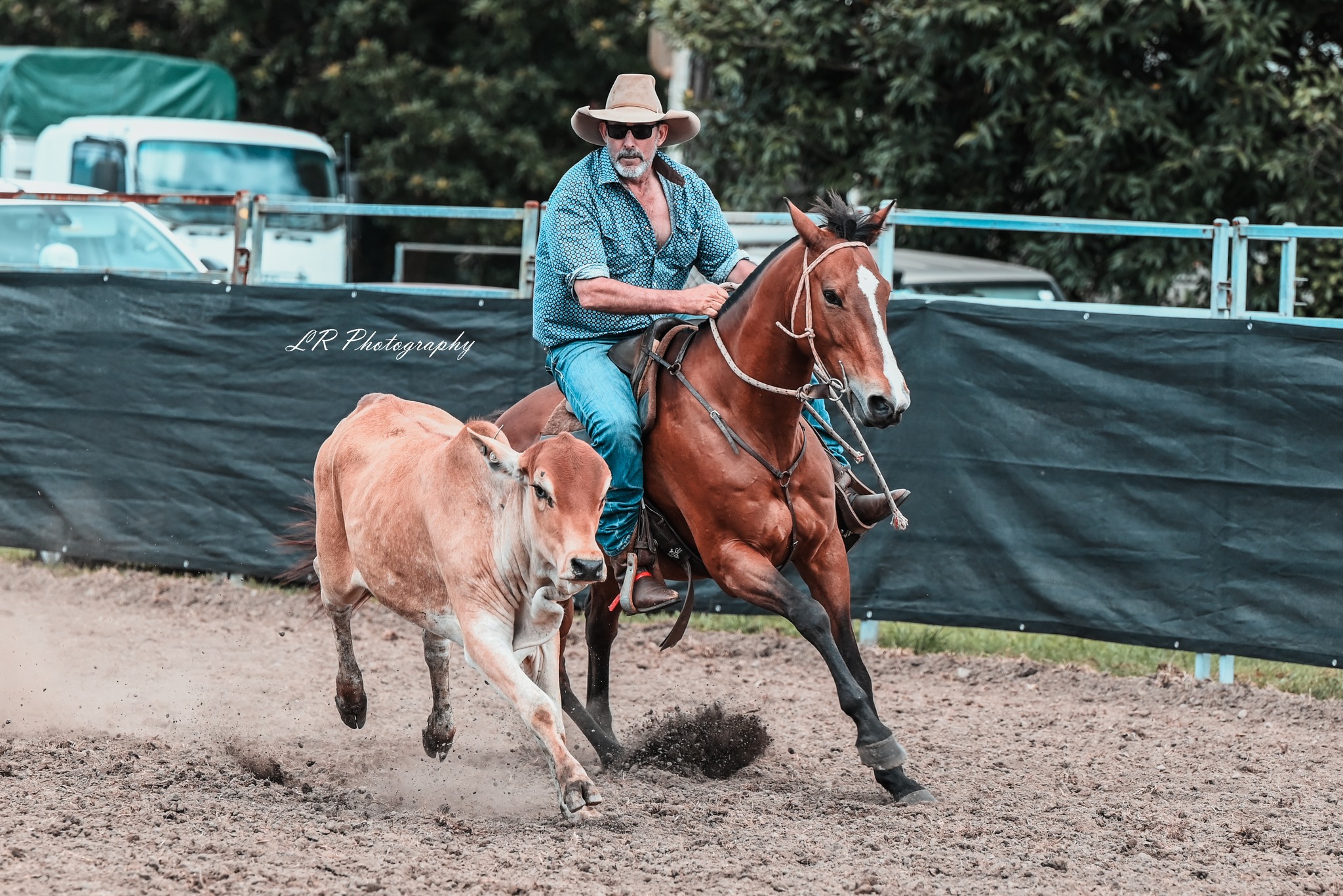 Silkwood campdraft